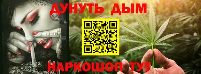 стаф Гатчина
