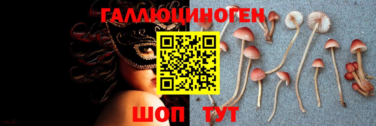 Дальнереченск  Псилоцибиновые грибы Psilocybine cubensis  Псилоцибиновые грибы ЛСД  Вход с VPN 